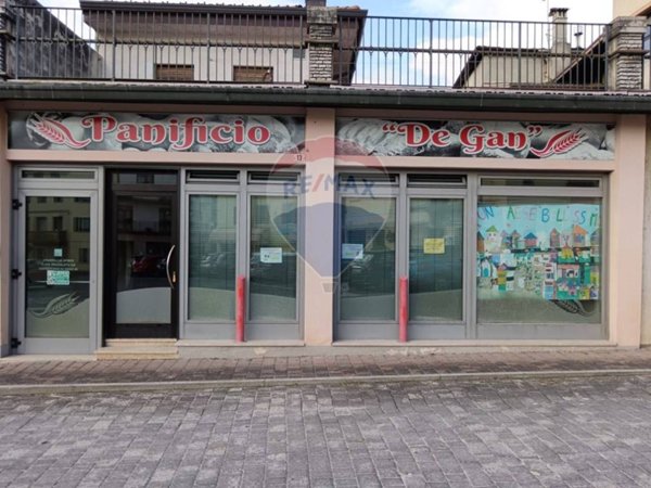 quadrivano in vendita a Borgo Valbelluna in zona Villa di Villa