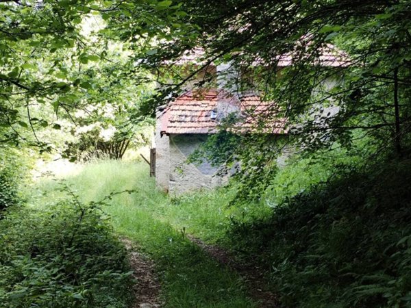 baita in vendita a Borgo Valbelluna in zona Confos