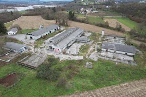 azienda agricola in vendita a Borgo Valbelluna in zona Nave