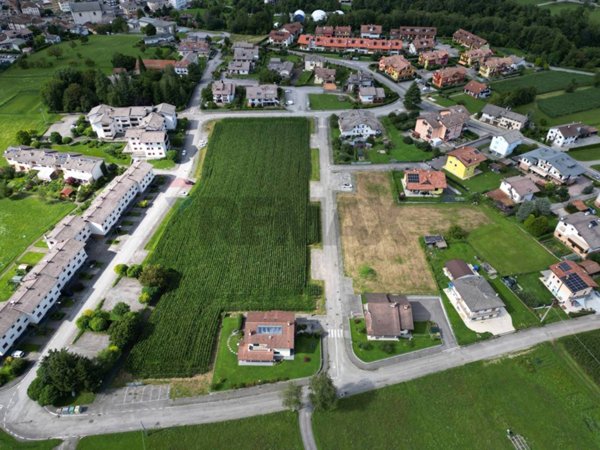 terreno edificabile in vendita a Borgo Valbelluna in zona Trichiana