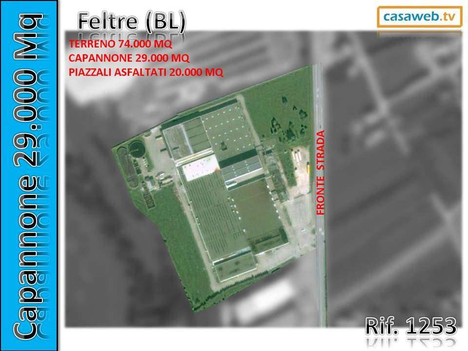 terreno edificabile in vendita a Borgo Valbelluna