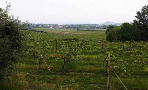 appartamento in vendita a Borgo Valbelluna in zona Campedei