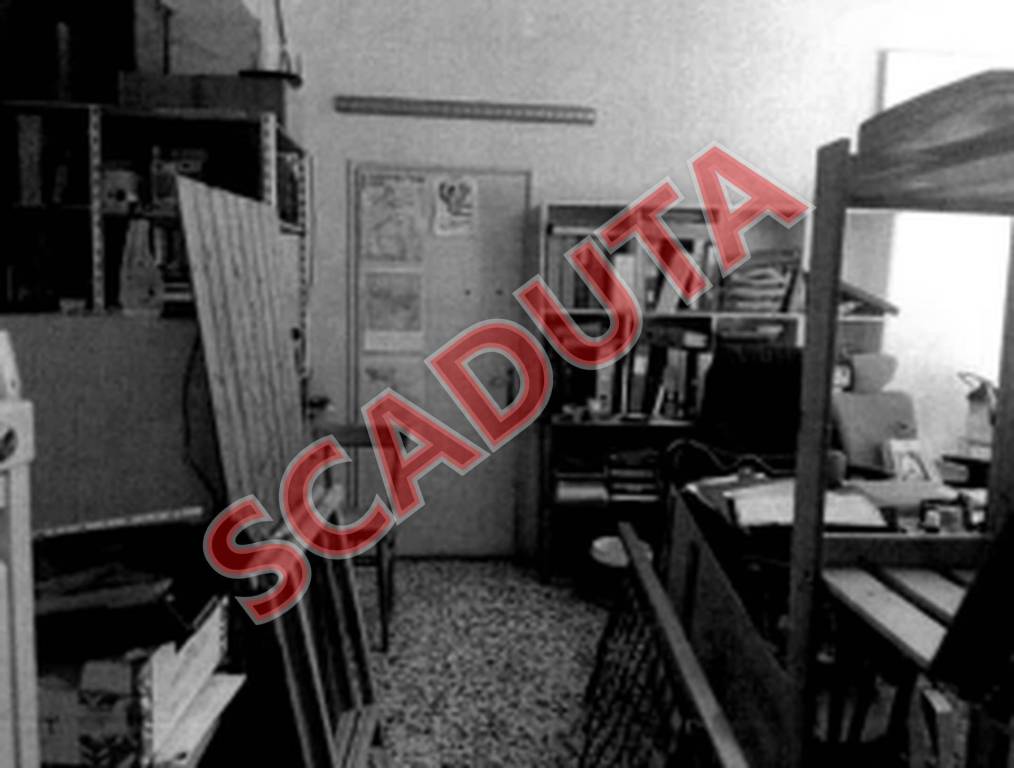 appartamento in vendita a Borgo Valbelluna in zona Trichiana