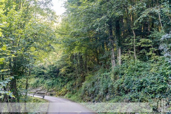 terreno agricolo in vendita a Borgo Valbelluna in zona Vanie