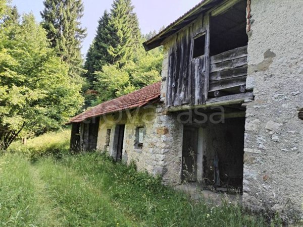 casa indipendente in vendita a Borgo Valbelluna in zona Confos