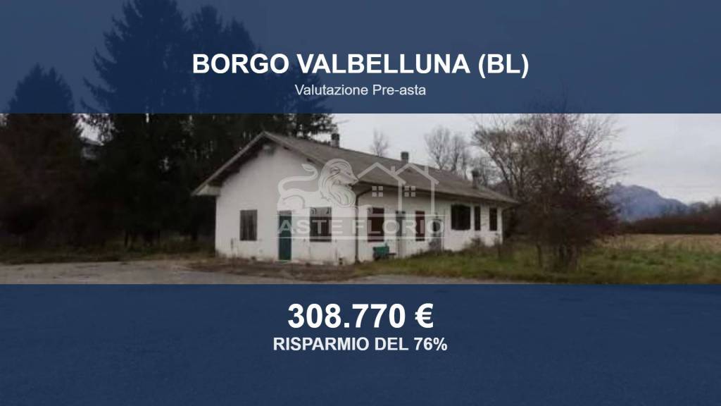 terreno agricolo in vendita a Borgo Valbelluna in zona Nave