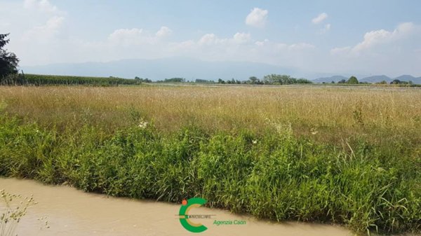 terreno agricolo in vendita ad Altivole