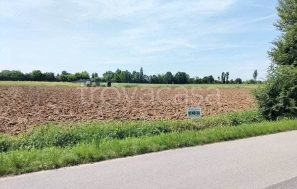 terreno agricolo in vendita ad Altivole