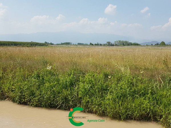 terreno agricolo in vendita ad Altivole