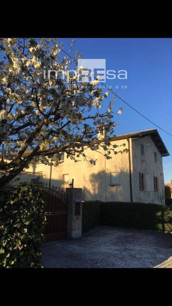 casa indipendente in vendita ad Altivole