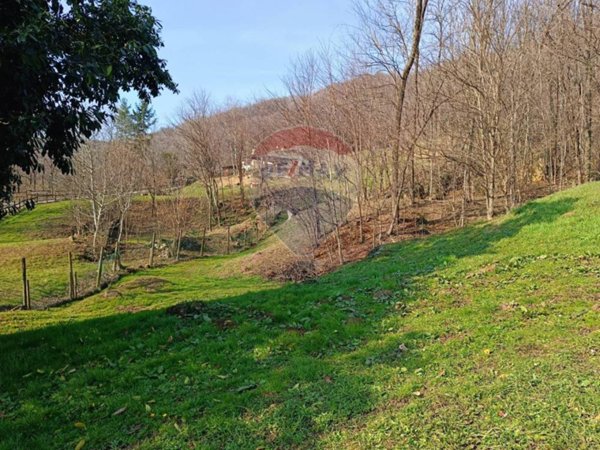 casa indipendente in vendita ad Altivole