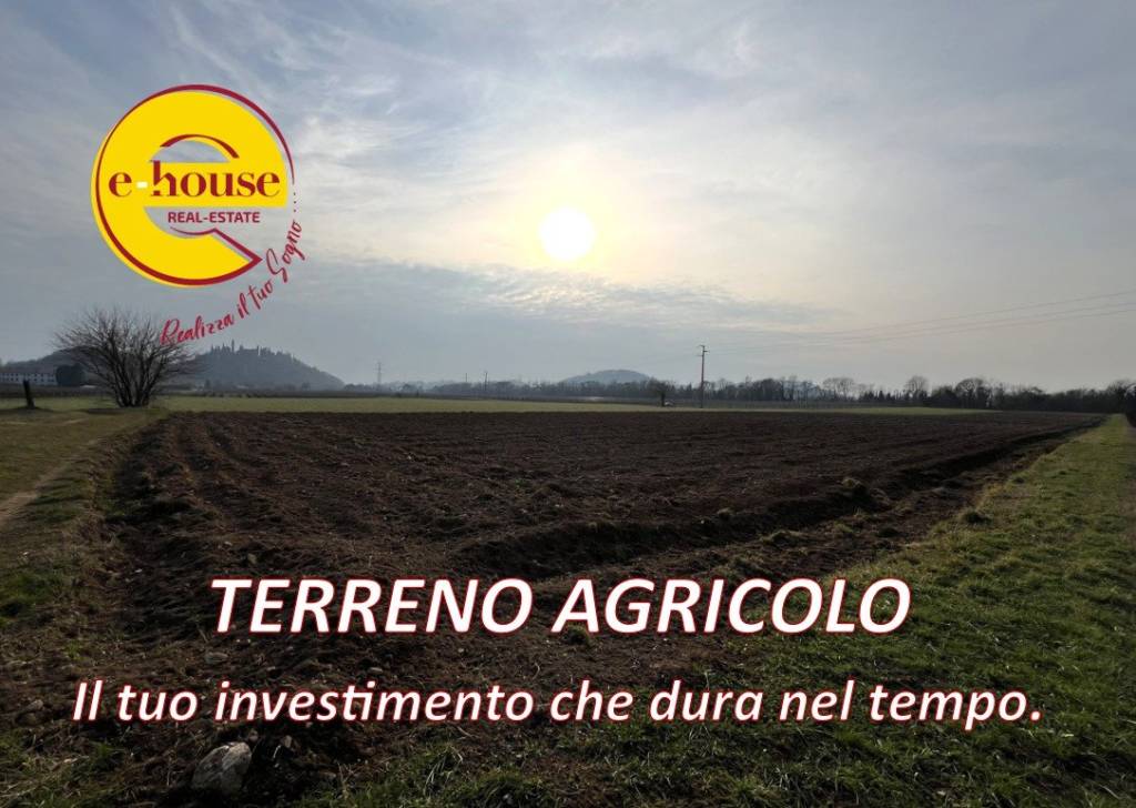 terreno agricolo in vendita ad Altivole