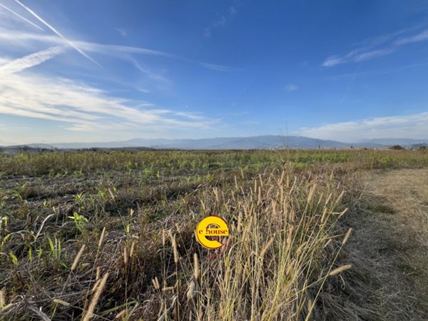 terreno agricolo in vendita ad Altivole