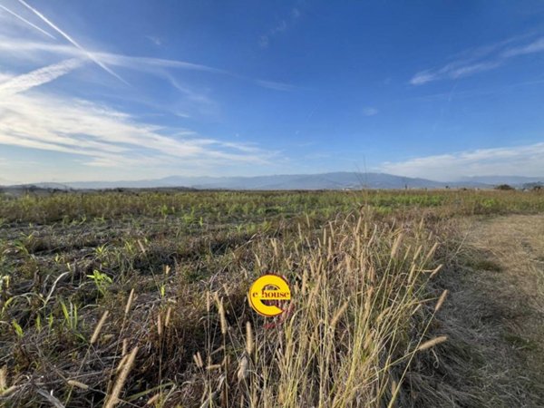 terreno agricolo in vendita ad Altivole