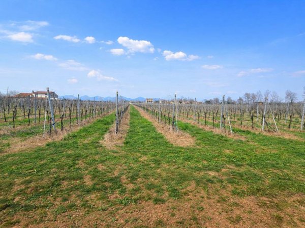terreno agricolo in vendita ad Altivole