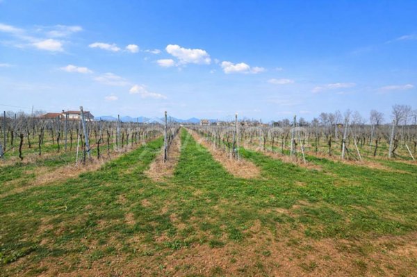 terreno agricolo in vendita ad Altivole