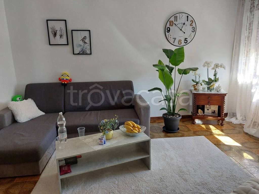 appartamento in vendita ad Altivole