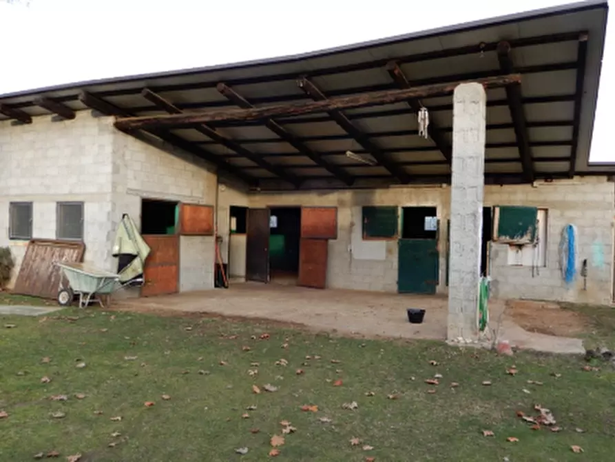 locale di sgombero in vendita ad Altivole