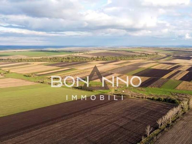 terreno agricolo in vendita ad Altivole