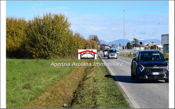 terreno agricolo in vendita ad Altivole