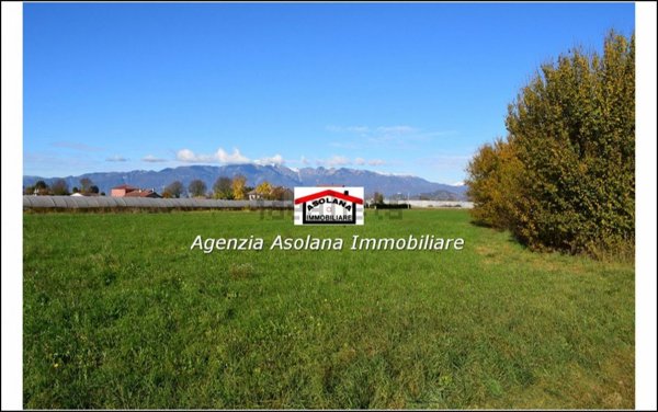 terreno agricolo in vendita ad Altivole