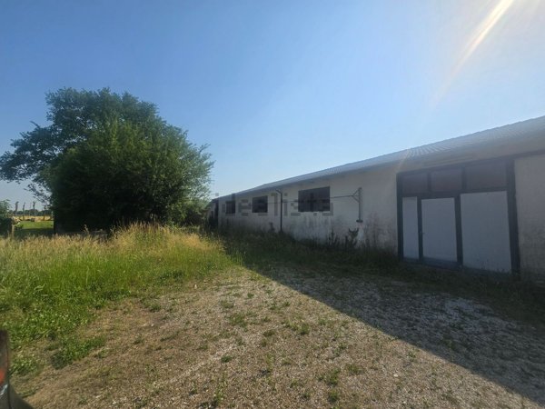 locale di sgombero in vendita ad Altivole