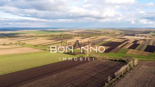 terreno agricolo in vendita ad Altivole