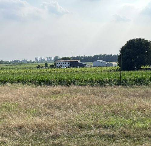 terreno agricolo in vendita ad Arcade