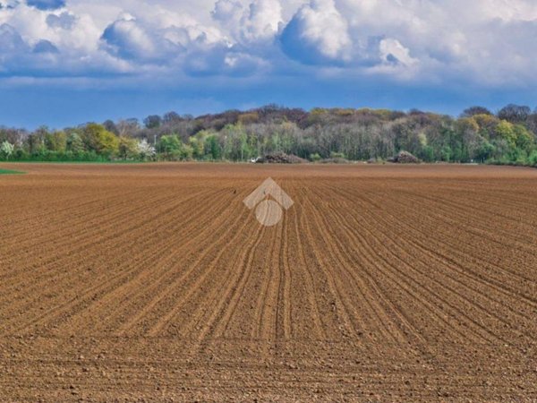 terreno agricolo in vendita ad Asolo