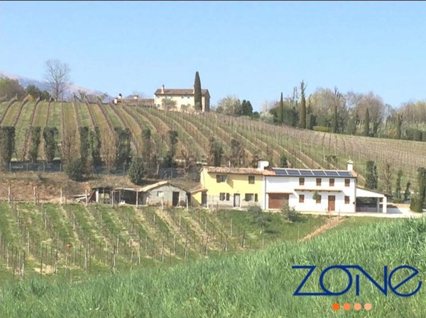 pentavano in vendita ad Asolo
