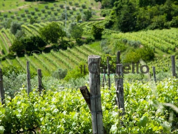 terreno agricolo in vendita ad Asolo