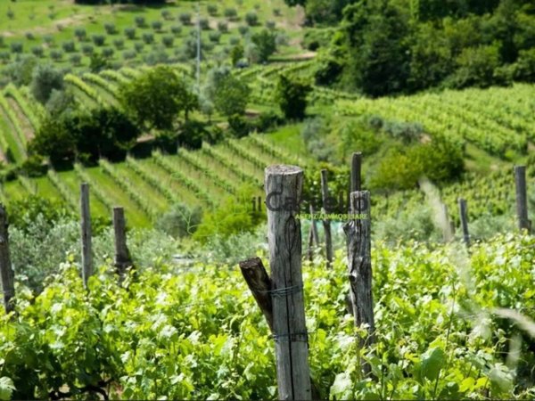 terreno agricolo in vendita ad Asolo