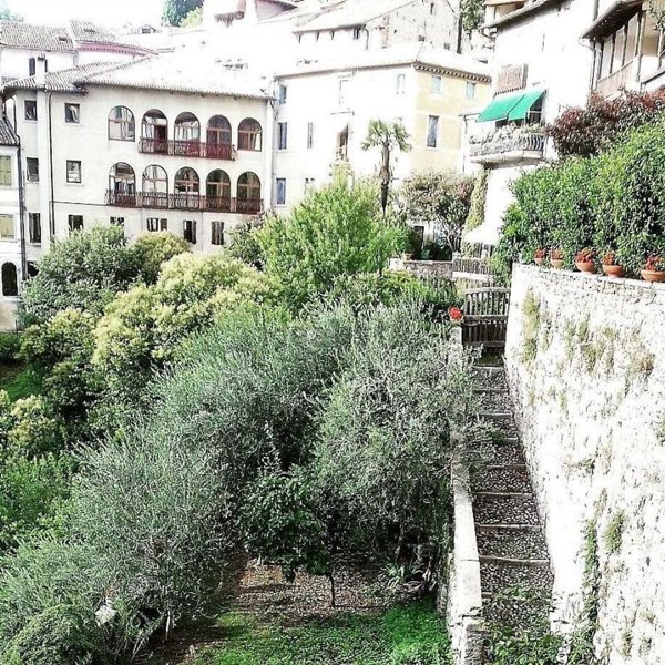 appartamento in vendita ad Asolo