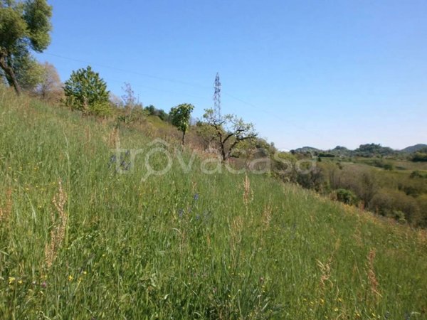 terreno agricolo in vendita ad Asolo in zona Pagnano