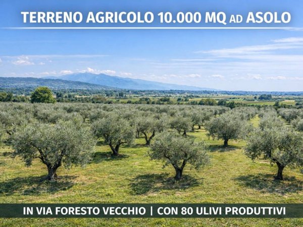 terreno agricolo in vendita ad Asolo