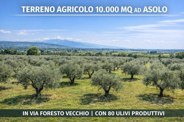 terreno agricolo in vendita ad Asolo