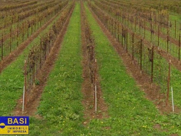 terreno agricolo in vendita ad Asolo