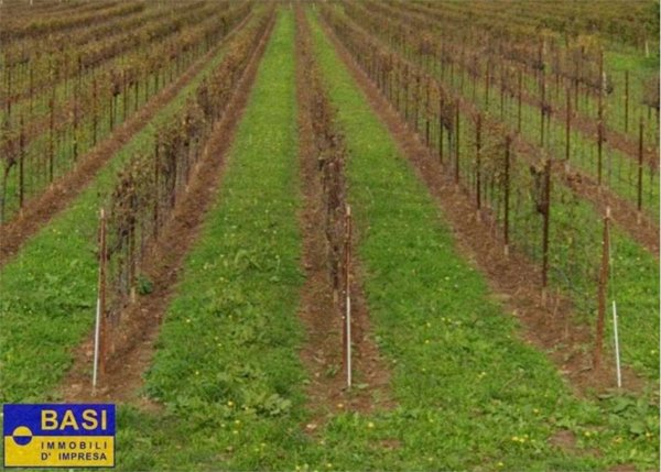 terreno agricolo in vendita ad Asolo