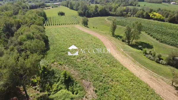 terreno agricolo in vendita ad Asolo
