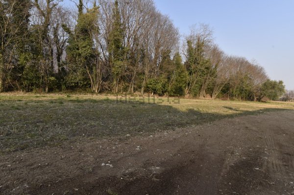 terreno edificabile in vendita a Borso del Grappa in zona Semonzo