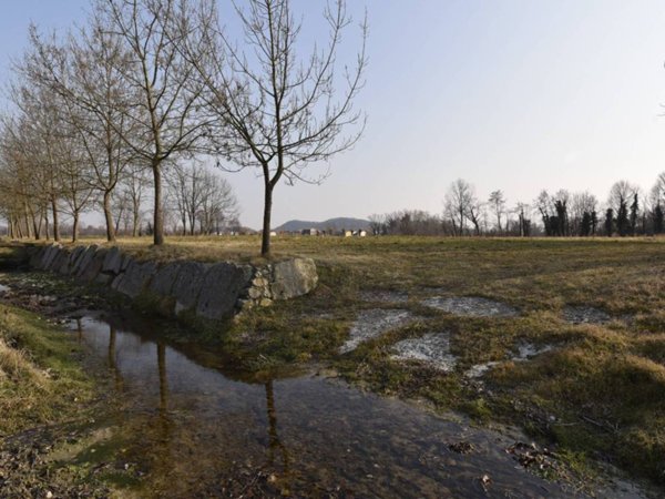 terreno edificabile in vendita a Borso del Grappa in zona Semonzo