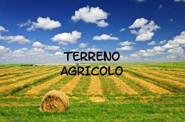 terreno agricolo in vendita a Borso del Grappa