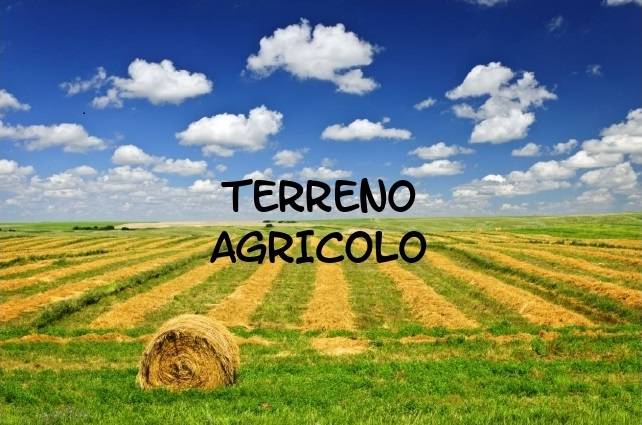 terreno agricolo in vendita a Borso del Grappa