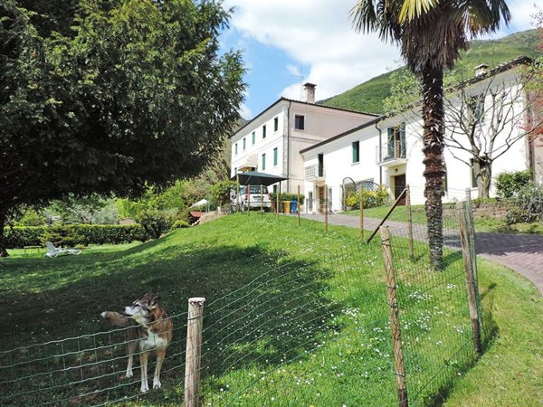casa indipendente in vendita a Borso del Grappa