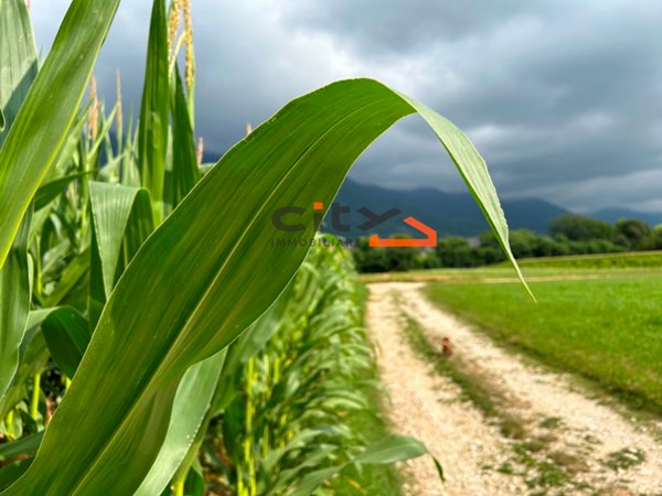 casa indipendente in vendita a Borso del Grappa