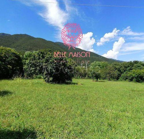 terreno agricolo in vendita a Borso del Grappa