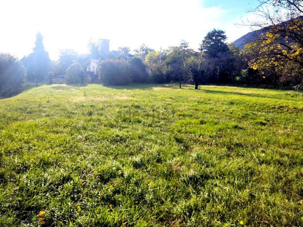 casa indipendente in vendita a Borso del Grappa