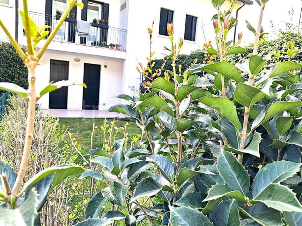 appartamento in vendita a Borso del Grappa in zona Semonzo