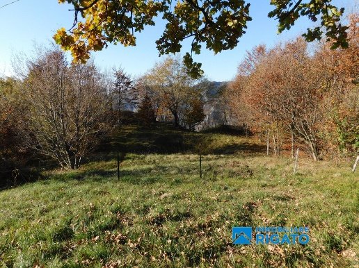 casa indipendente in vendita a Borso del Grappa