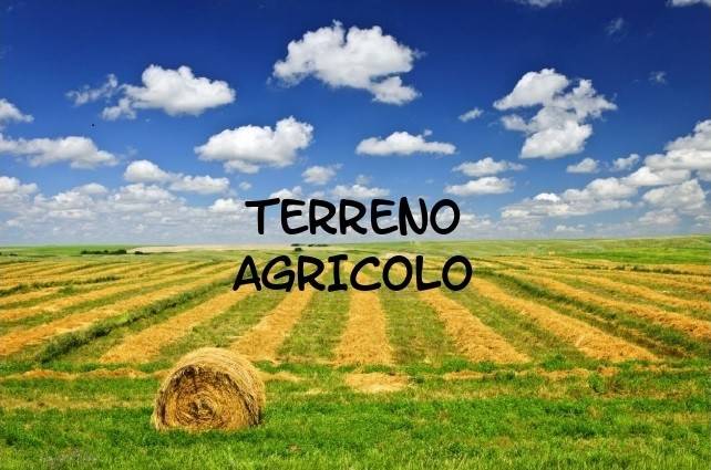 terreno in vendita a Borso del Grappa in zona Sant'Eulalia